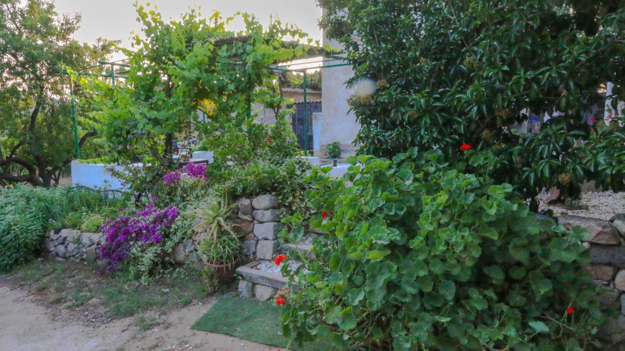 Villa Ferulas Oliena Exterior photo