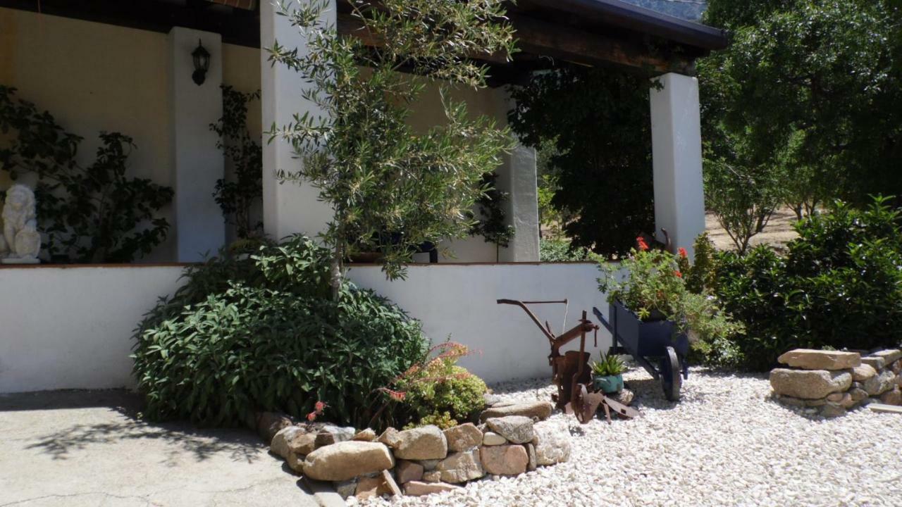 Villa Ferulas Oliena Exterior photo